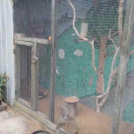 De Boerderij Ubytování v soukromí